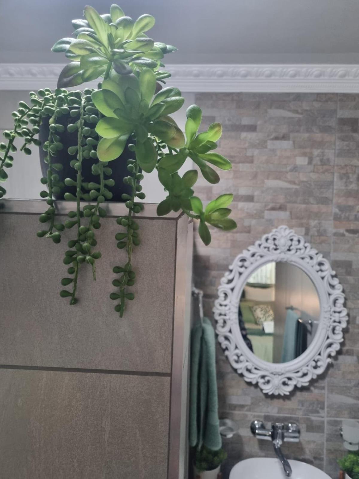 Grace B&B Potchefstroom Extérieur photo